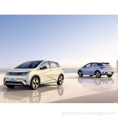 Byd Dolphin pure electric driving range green power  long life battery new energy mini vehicle